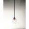 Maxim Lighting Goblet 1-Light 4.75" Wide Black / Satin Nickel Pendant Light 96120CLBKSN - alternate 3
